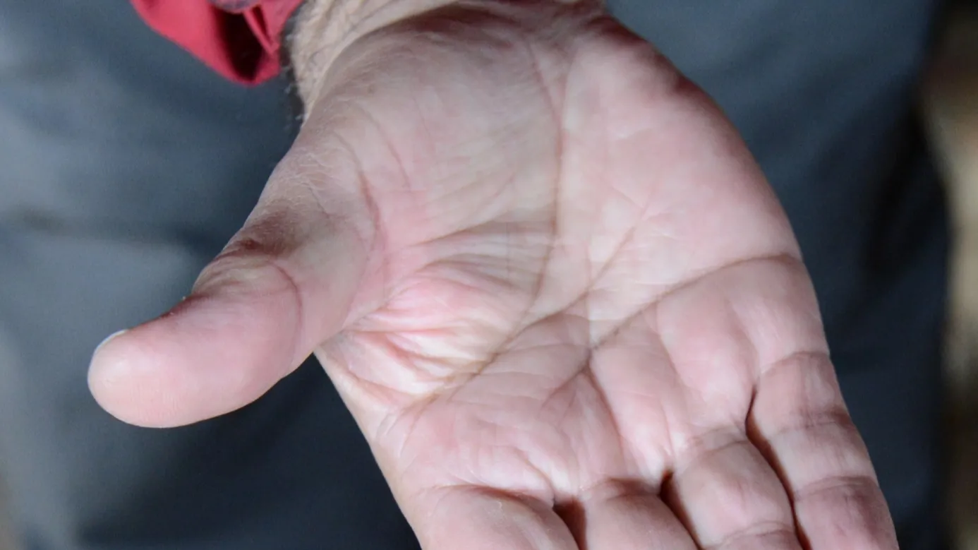 This Smart Lock Reads Your Palm Veins